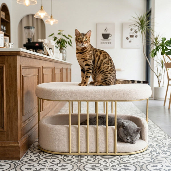 Bengal cat sitting on top of the Velura Pet Haven ottoman while a grey cat sleeps in the bed below